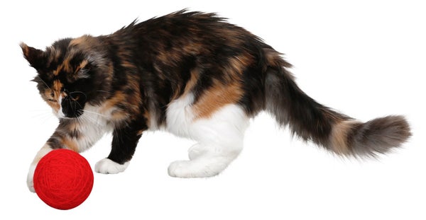 Kerbl Kissan Lelupallo Wool 10 cm