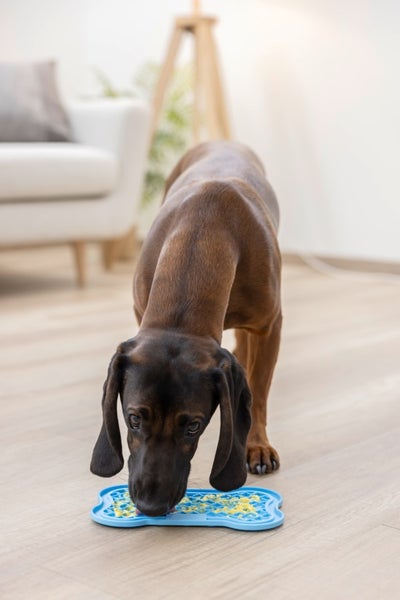 Kerbl Aktivointimatto Lick Mat Bone Imukupeilla